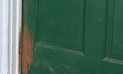 Repairing Paint Damaged by Pets