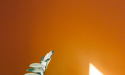 How Lighting Affects Interior Paint