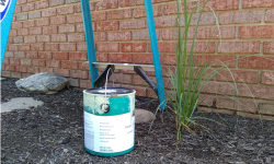 How to Paint your Home Exterior without Damaging the Landscaping