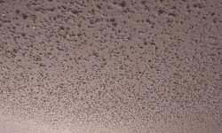 What to Do with Popcorn Ceilings?