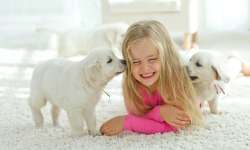 Interior Paint Tips for Homes with Kids and/or Pets