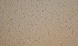 Popcorn Ceiling Removal (CT ceiling texture services)