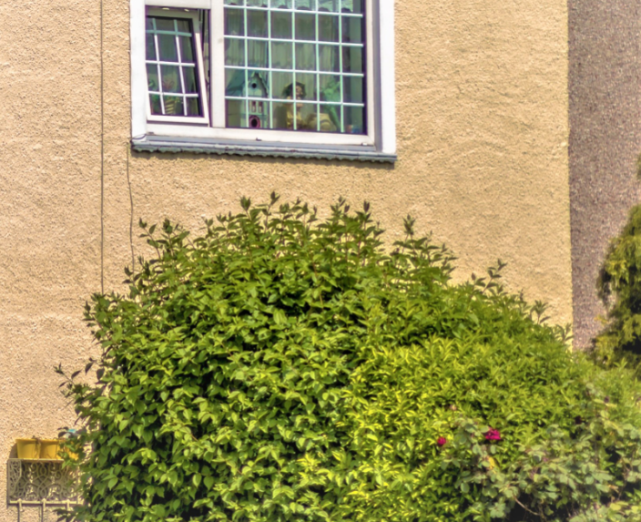Connecticut-Landscaping-Bushes.PNG#asset:2777