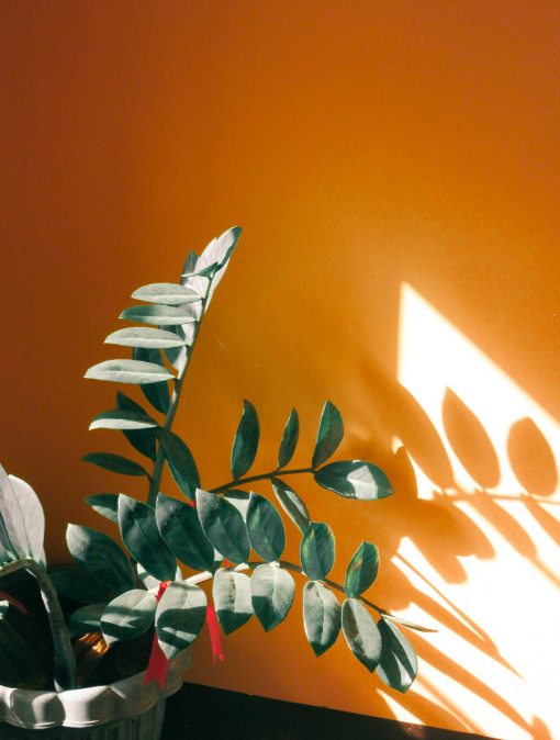 How Lighting Affects Interior Paint