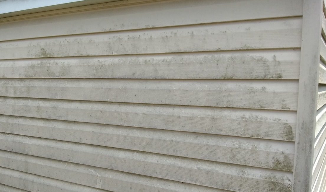 How Do You Deal with Mildew on Siding?