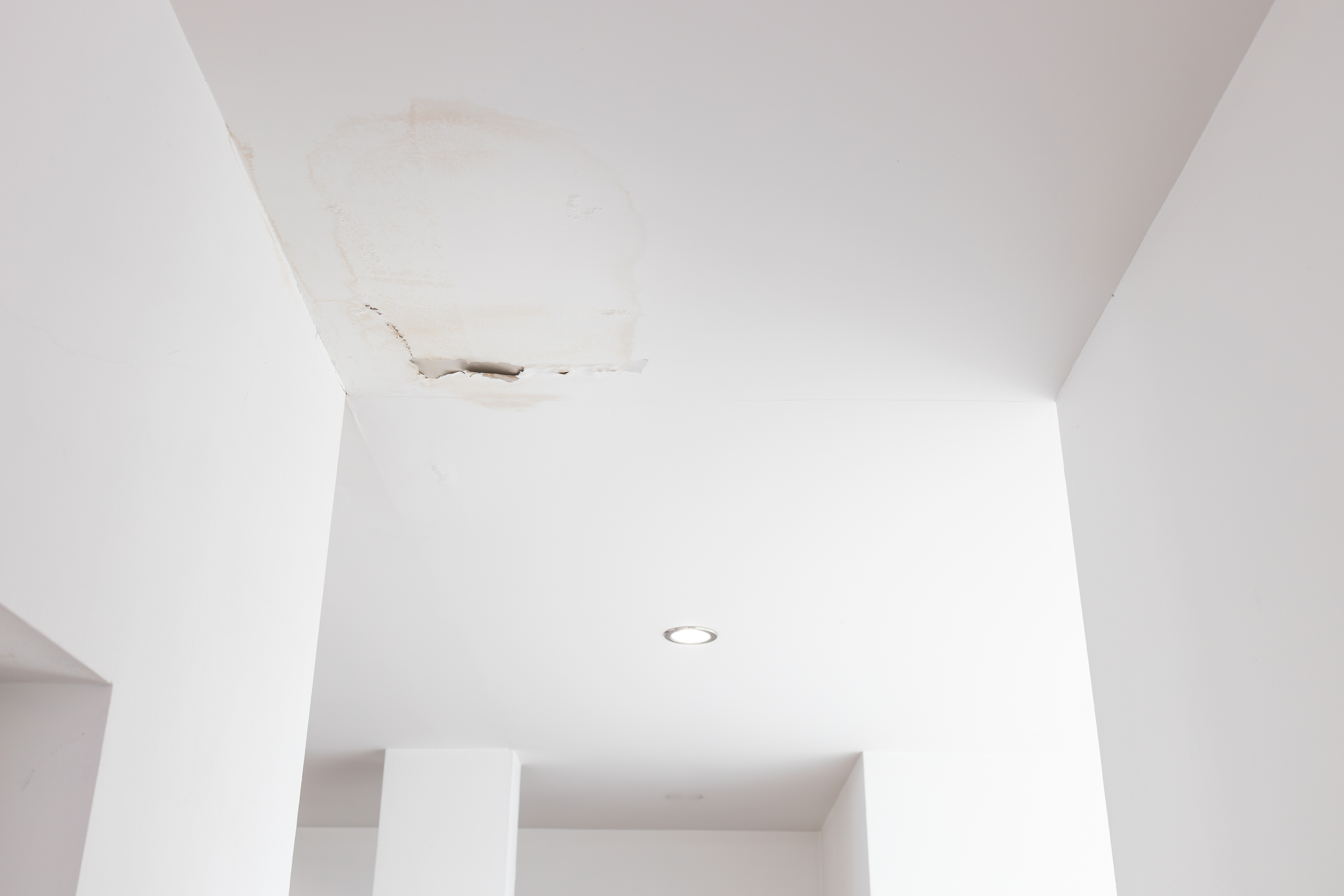 January-2025-water-damage-on-ceiling.jpeg#asset:28952