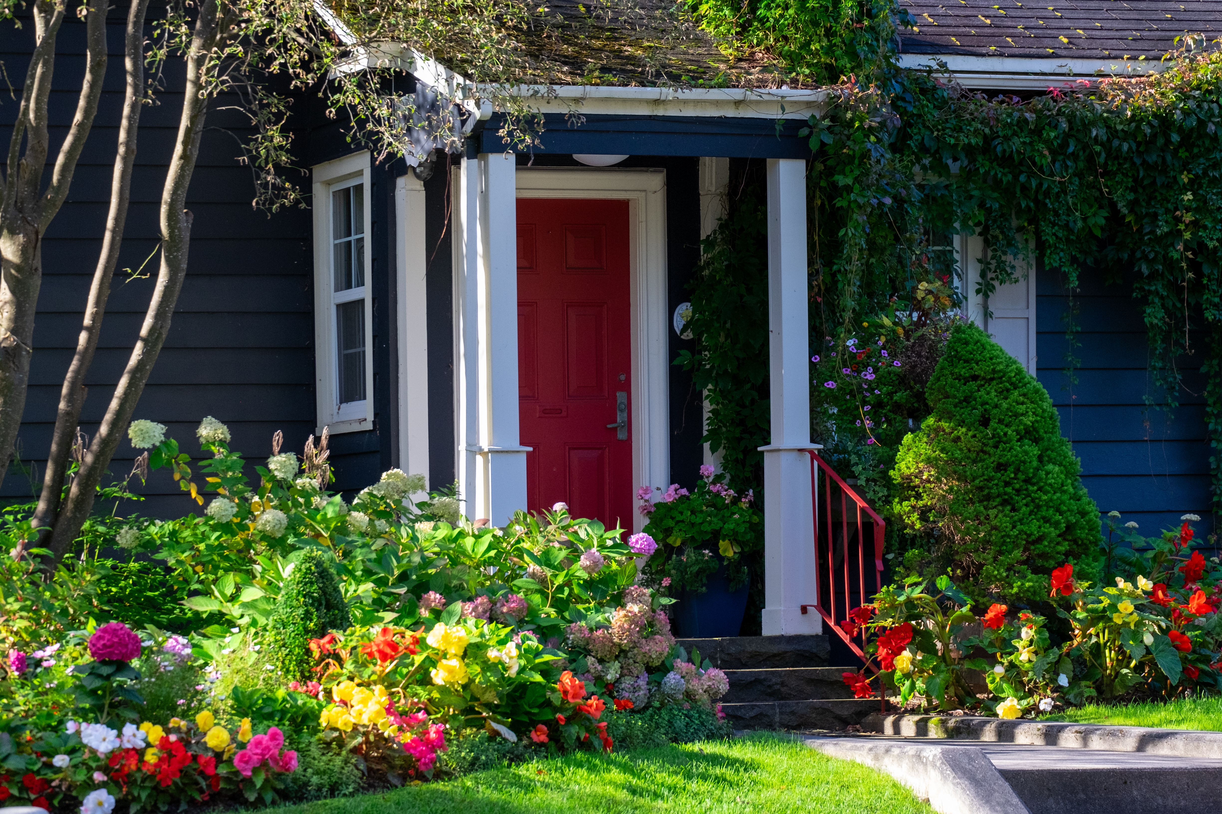 June-2026-blog-1-red-door.jpeg#asset:29118