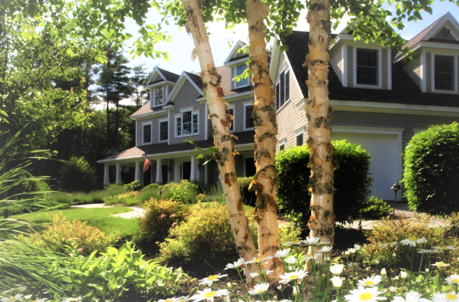 How to Landscape in a Way that Won’t Damage Your Exterior House Paint