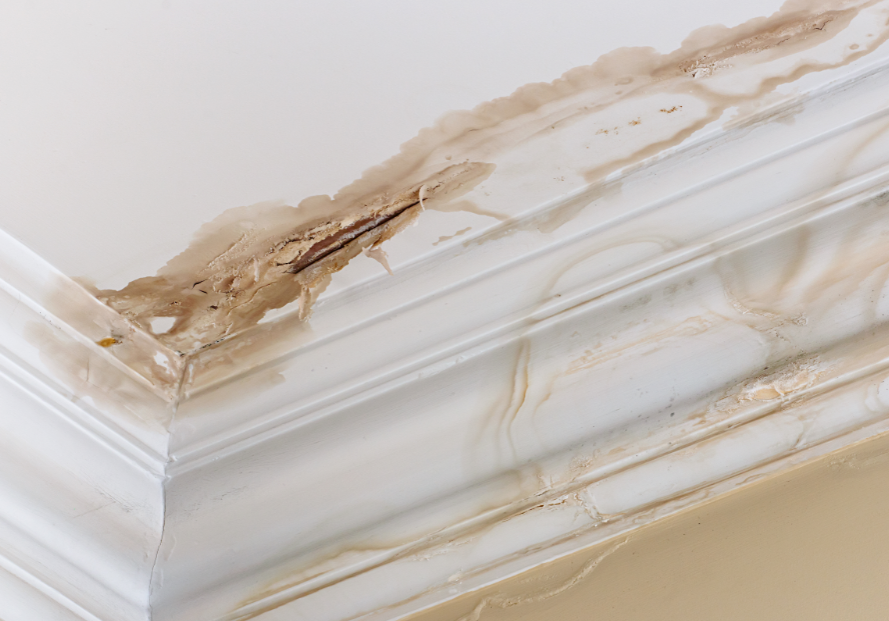 How to Paint a Wall After Water Damage