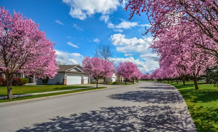 Spring Is Here: When Can Exterior Painting Start? 