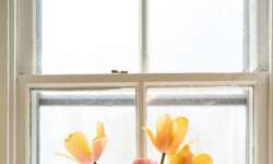 Spring Renewal: Tips from Your Trusted Painting Contractor