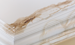 My Ceiling Has Water Damage. Can I Paint Over It?