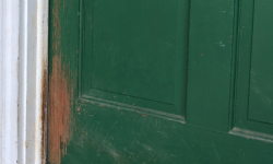 Repairing Paint Damaged by Pets