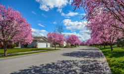 Spring Is Here: When Can Exterior Painting Start? 