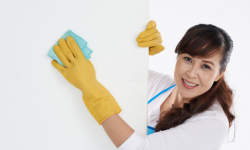 Can I Wash My Painted Walls? 