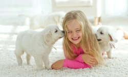 Interior Paint Tips for Homes with Kids and/or Pets