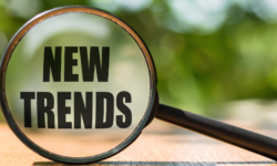 2024 Interior Paint Color Trends for Central Connecticut