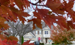 5 Tips to Prepare Your Home for Winter | CT Painting Tips