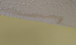 What to Do with Water Marks on a Popcorn Ceiling