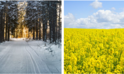 Using the Seasons to Guide Interior Paint Color Choices