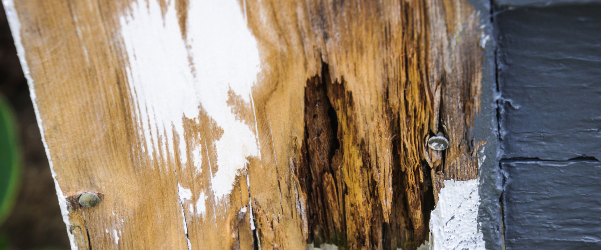 How Can You Protect Your Home from Wood Rot?